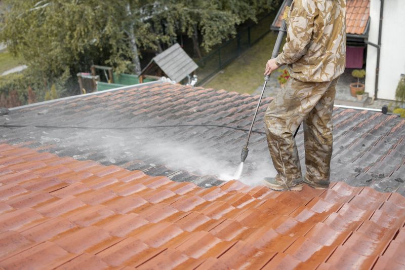 Roof Restoration Service