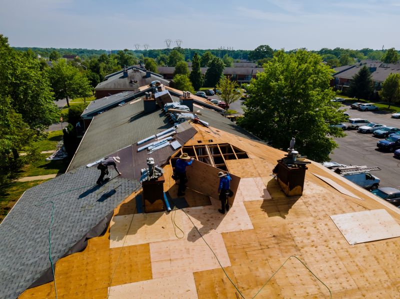 Summer Roofing Activity